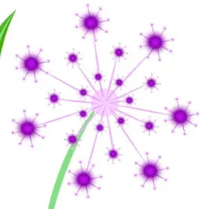Alium.one